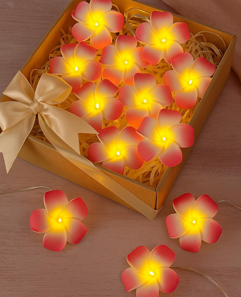 2 Pack 20 Summer, AceList Plumeria Flower String Lights, LEDs Each, Battery Operated, Hawaiian Foam Frangipani Garland