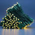 200 Count Warm White Wide Angle LED Christmas Lights, 66 ft Green Wire, UL Certified Holiday String Light Set