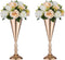 Sziqiqi Trumpet Floral Centerpiece Riser Stand for Wedding Reception, Party Event Decoration, Pack of 2