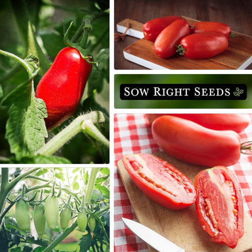 Packet (1) Sow Right Seeds - San Marzano Tomato Seeds for Planting - Non-GMO Heirloom with Instructions to Plant a Home