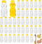 8oz Plastic Honey Bear Bottle Mini Honey Jars Party Favors Small Honey