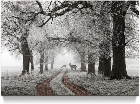 Winter Scene Canvas Wall Art, Nature Forest Landscape Prints with White Snowy Trees Painting for Living Room