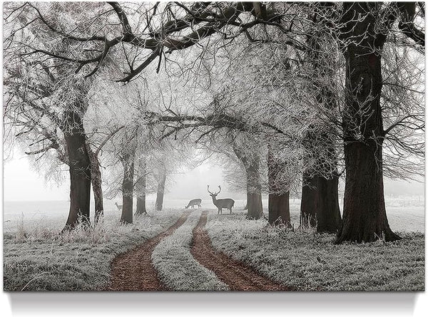 Winter Scene Canvas Wall Art, Nature Forest Landscape Prints with White Snowy Trees Painting for Living Room
