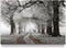 Winter Scene Canvas Wall Art, Nature Forest Landscape Prints with White Snowy Trees Painting for Living Room