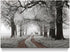 Winter Scene Canvas Wall Art, Nature Forest Landscape Prints with White Snowy Trees Painting for Living Room