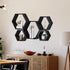 PHOENANCEE Hexagon Floating Shelves, Set of 5 Wall Mounted Wood Honeycomb Storage for Home Room Decor