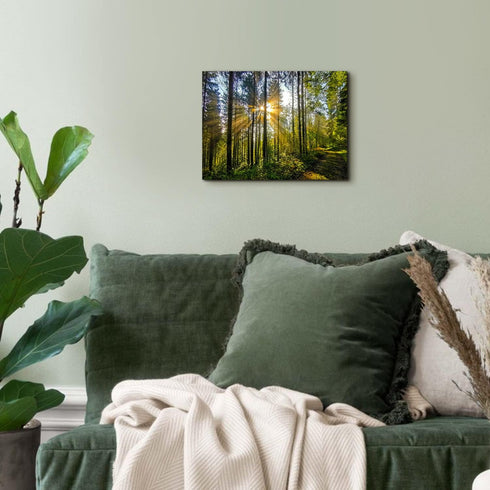 Forest Wall Art Nature Pictures - 12x16” Mountain Landscape Photo Prints for Living Room and Home Decor