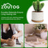 ZOUTOG 4 Inch Ceramic Plant Pot, Pack of 6 White Succulent Pots with Drainage Hole & Bamboo Tray for Home, Office Decor