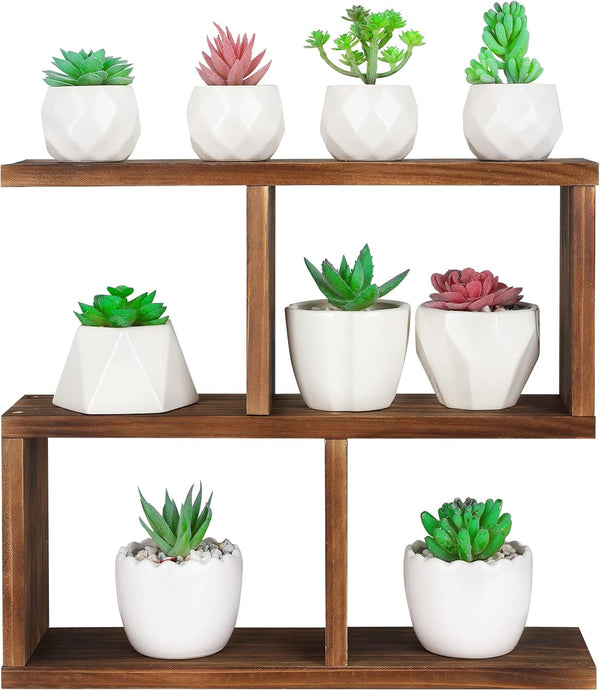 Window Sill Plant Stand: Small Wood Plant Shelf for Succulents, 3 Tier Tabletop Display Rack for Desktop Plants
