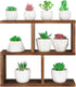 Window Sill Plant Stand: Small Wood Plant Shelf for Succulents, 3 Tier Tabletop Display Rack for Desktop Plants