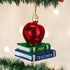 Old World Christmas Teacher Gifts, Glass Blown Ornaments for Christmas Tree, Apple