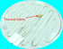 Brewing & Fermentation Heat Pad for Homebrew Beer & Wine, 120VAC 12 or 25 Watt Heating Mat, Safe for Plastic/Glass