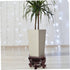 Wooden Flower Pot Base, Asian Wooden Vase Stand, Mini Bonsai Storage Rack for Potted Plants