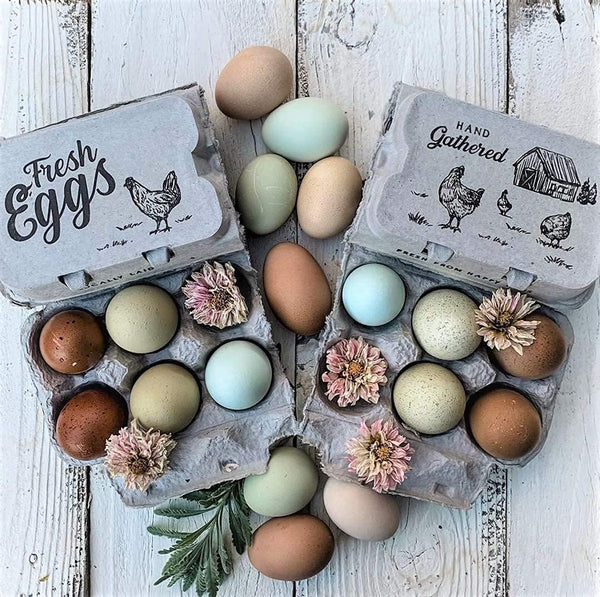 Half Dozen Empty Egg Cartons- 15 Full Dozen Can Split to 30