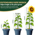 LOMNYIY 55.1 inches2 Pack) Garden Trellis, Tomato Cage Tall Plant Support Climbing Vines Flowers Stands Cucumber