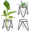 Jspupifip 3 Pcs Glass Plant Terrarium with Metal Stand, Air Plants Holders
