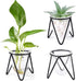 Jspupifip 3 Pcs Glass Plant Terrarium with Metal Stand, Air Plants Holders