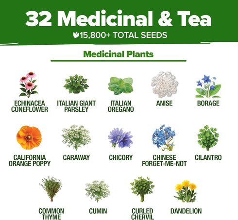 32 Pack HOME GROWN Herb Seeds Medicinal Herbs and Tea Variety Annual & Perennial Herb Seeds for Planting Indoors