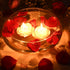 Zest Candle 12-Piece Floating Candles, 3-Inch, Ivory Rose
