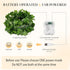 33ft 100 KASZOO LED Vine with Fairy Lights with Remote, Fake Vines String Lights Battery/USB Operated, Ivy Garland
