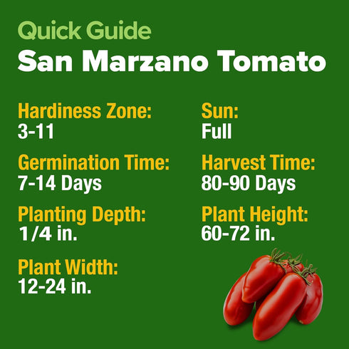 132+ HOME GROWN San Marzano Tomato Seeds Heirloom Non-GMO Seeds for Planting, High Germination, Indeterminate Roma