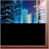 BDF BLKT Window Film, Blackout Day & Night Opaque Privacy, 36in X 6ft