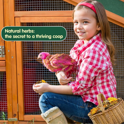 CLOCAL 14.8 Oz 10 Nesting Herbs for Chicken Coop - Natural Dried Herbs for Chicken Coop Accessories, Hens Accessories