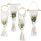 Melphoe 4 Pack Air Plants Holders Stand Air Fern Macrame Plant Hanger