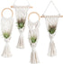 Melphoe 4 Pack Air Plants Holders Stand Air Fern Macrame Plant Hanger