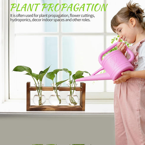 3 Bulb Plant Propagation Station Plant Terrarium Unique Birthday Gifts for Women Home Office Decor Planter with Wooden