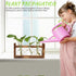 3 Bulb Plant Propagation Station Plant Terrarium Unique Birthday Gifts for Women Home Office Decor Planter with Wooden