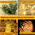 6 Pack 7ft 20LED HXWEIYE Fairy Lights Battery Operated with Remote & Timer, Mini Firefly Starry Lights Mason Jar Lights