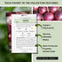 Packets Sow Right Seeds - Short Day Onion Seed Collection for Planting - Red Creole, Crystal White Wax, Texas Early