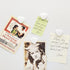 Fridge Magnets, 10 Pcs Heavy Duty Refrigerator Magnets, Cute Mini Heart Magnets for Whiteboard, Kitchen & Office