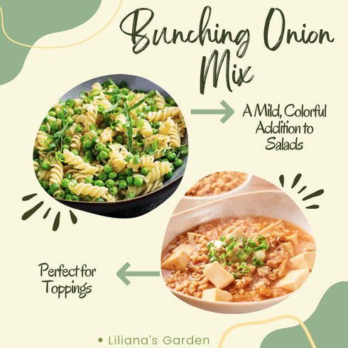 Liliana's Garden Pack 50 Bunching Onion Mix Bunching Onion Seeds Fast-Growing Bunching Onions Red, Long White