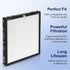 ToLife TZ-K2 Air Purifier Replacement Filter, 3-in-1 HEPA Activated Carbon Filter, TZ-K2-A, 1 Pack, White