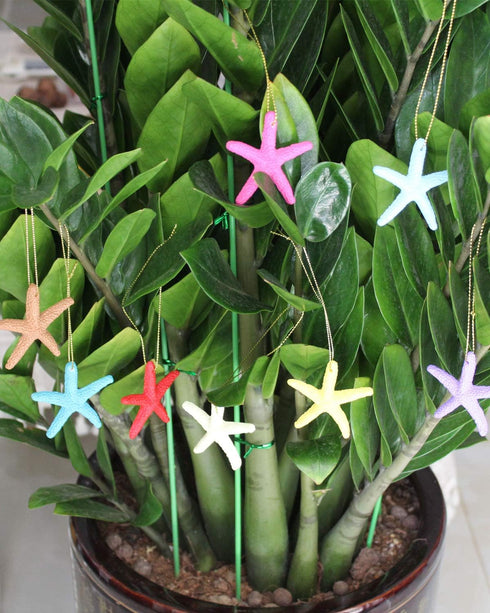 LJY 40 Pieces 2.3 Inches Resin Pencil Finger Starfish with Rope for Christmas Tree Ornaments