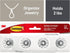 Command Crystal Knob Jewelry and Scarf Rack, Holds up to 2 lb, 2 Scarf Organizers with 8 Command Strips for Bedroom