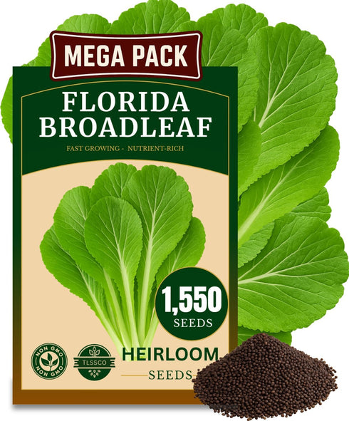 The Lucky Stars 1500+ Florida Broadleaf Mustard Seeds for Planting, Packed for 2026 Non-GMO Seeds