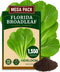 The Lucky Stars 1500+ Florida Broadleaf Mustard Seeds for Planting, Packed for 2026 Non-GMO Seeds