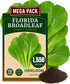 The Lucky Stars 1500+ Florida Broadleaf Mustard Seeds for Planting, Packed for 2026 Non-GMO Seeds