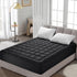 HYLEORY Quilted Queen Mattress Pad, Fitted Mattress Protector, Cooling Pillow Top Cover, Black, 8-21" Deep Pocket