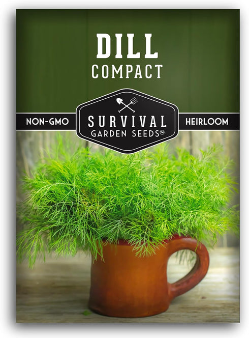 Compact Dill Seeds for Planting Dwarf Dill for Containers & Small-Space Gardens
