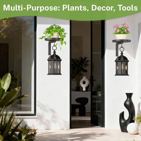 Set 2 2 iDavosic.ly Wall Plant Holder of for Indoor Outdoor, Metal Hanger with Hooks, Floating Flower Display Stand