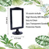 NahNah 10 Count) 4x6 Inch, 2 Double Sided Standing Picture Frames - (Black, Plastic Pedestal Photo Frame with Inserts