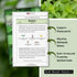 Packet (1) Sow Right Seeds - Lemon Basil Seed for Planting - Non-GMO Heirloom with Instructions to Grow a Kitchen Herb