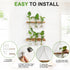 2 6 Bulb Renmxj Plant Propagation Station Wall Hanging, Plant Terrarium with Tiered Wooden Stand for Hydroponics
