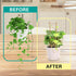 2FT 3 Pack, S2 24 Inch, Bamboo Trellis Natural Bamboo Plant Ladder Stakes Fan-Shaped Plant Support Stand for Orchid