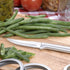 Rada Cutlery Heavy Duty Paring Knife, 7-1/8 Inches, Silver Aluminum Handle with Stainless Steel Blade