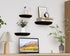 QsQueen Solid Wood Half Round Floating Wall Shelves | Elegant Floating Shelves, Elevate Your Space. Perfect for Living